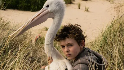Storm Boy izle
