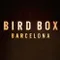 Bird Box Barcelona fragman izle