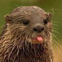 sikinoskesama adlı kullanıcı